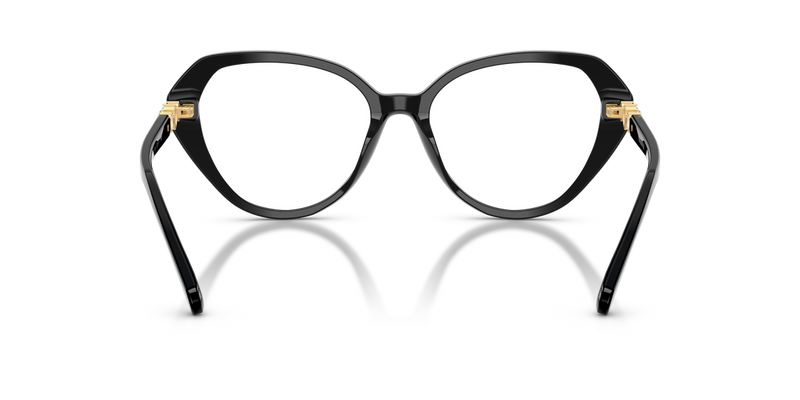 Swarovski SK2054F in Black / Demo Lens (1001) - Temple Detail