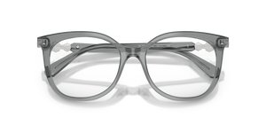Transparent Grey / Demo Lens (1062)