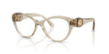 Transparent Beige / Demo Lens (3003)