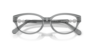 Transparent Dark Grey / Demo Lens (1062)