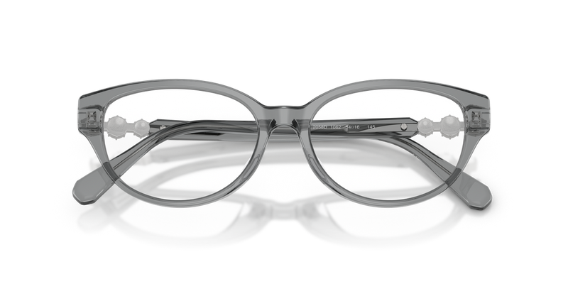 Swarovski SK2058D in Transparent Dark Grey / Demo Lens (1062) - Alternate View