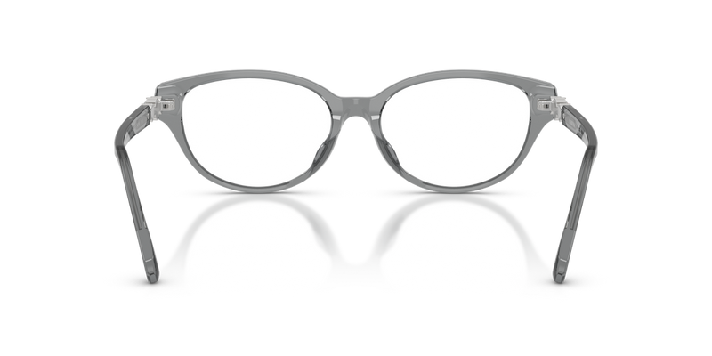 Swarovski SK2058D in Transparent Dark Grey / Demo Lens (1062) - Alternate View