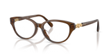 Transparent Brown / Demo Lens (1084)