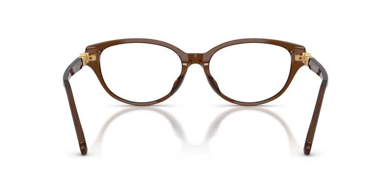 Swarovski SK2058D in Transparent Brown / Demo Lens (1084) - Alternate View