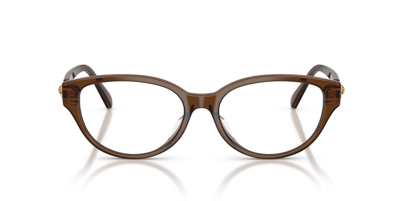 Swarovski SK2058D in Transparent Brown / Demo Lens (1084) - Alternate View