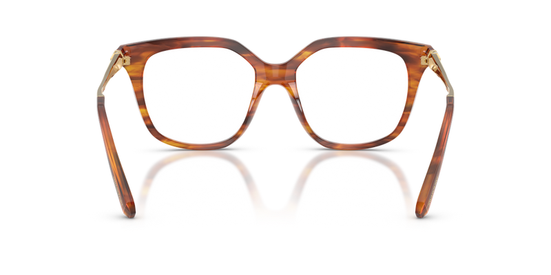 Swarovski SK2059 in Striped Havana / Demo Lens (1091) - Alternate View
