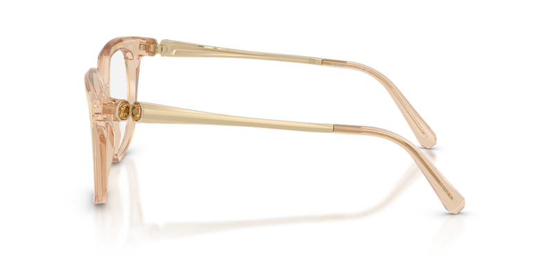 Swarovski SK2059 in Transparent Beige / Demo Lens (1092) - Alternate View