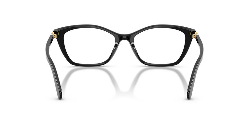 Swarovski SK2065F in Black / Demo Lens (1001) - Temple Detail