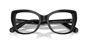 Black / Demo Lens (1093)