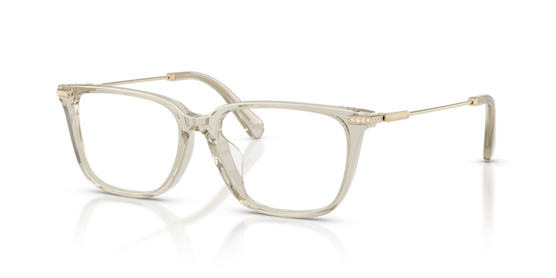 Swarovski SK2067D in Transparent Beige / Demo Lens (3003) - Alternate View