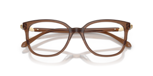 Transparent Brown / Demo Lens (1067)