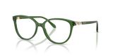 Transparent Green / Demo Lens (1081)