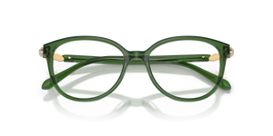 Transparent Green / Demo Lens (1081)