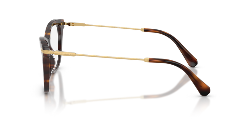 Swarovski SK2071U in Havana - Back View