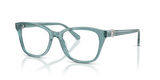 Transparent Blue / Demo Lens (1118)