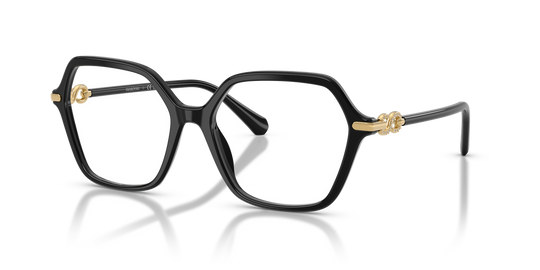 Swarovski SK2075 - Black / Demo Lens (1001)