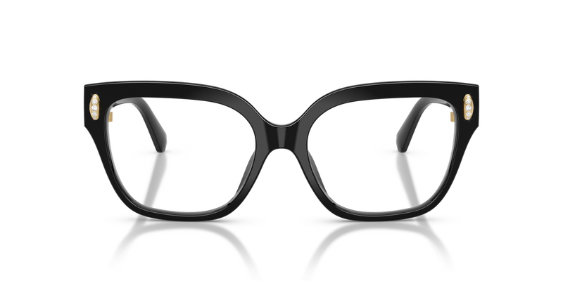 Swarovski SK2076U in Black - Alternate View