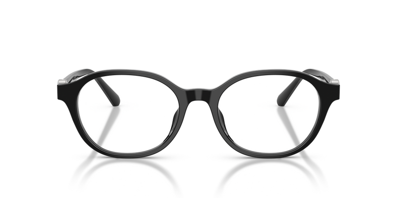 Swarovski SK2077D in Black - Alternate View