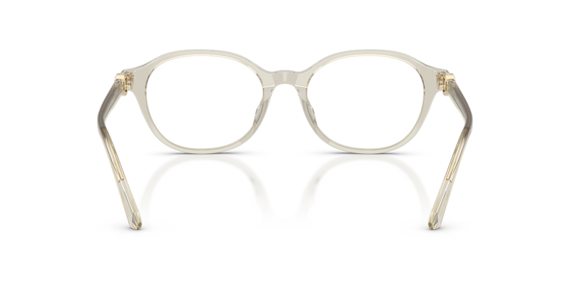 Swarovski SK2077D in Transparent Beige - Alternate View