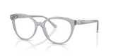 Transparent Grey / Demo Lens (1117)