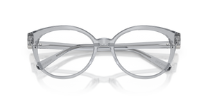 Transparent Grey / Demo Lens (1117)