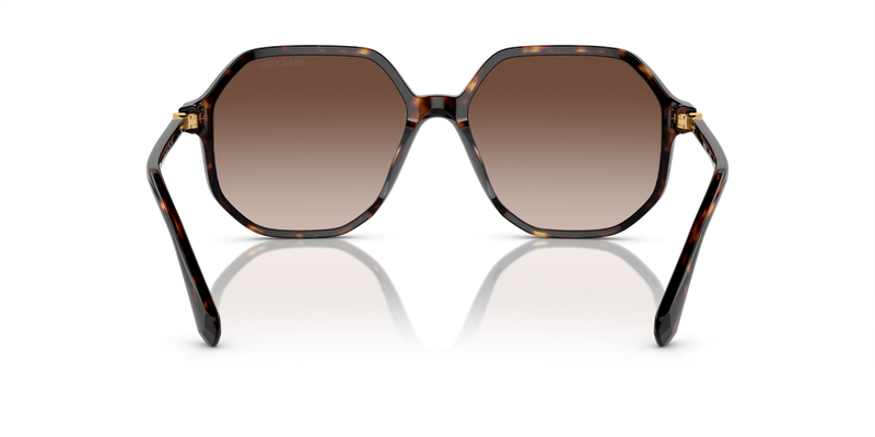 Swarovski SK6003 in Havana / Brown Gradient (100213) - Alternate View