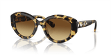 Medium Havana / Brown Gradient (100913)