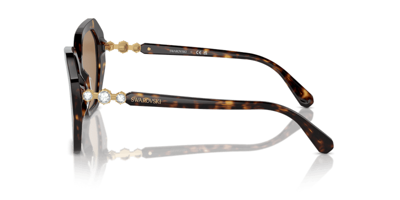 Swarovski SK6017 in Dark Havana / Photo Brown (1002M4) - Alternate View