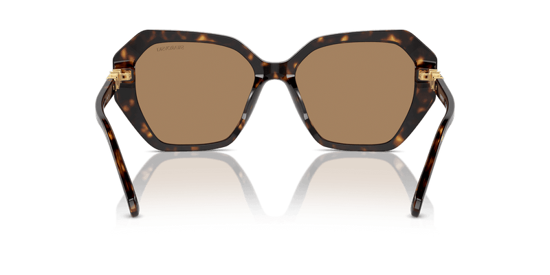 Swarovski SK6017 in Dark Havana / Photo Brown (1002M4) - Alternate View