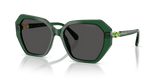 Transparent Green / Dark Grey (104587)