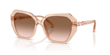 Transparent Beige / Gradient Brown (106313)