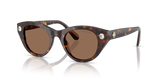 Havana / Dark Brown (100273)