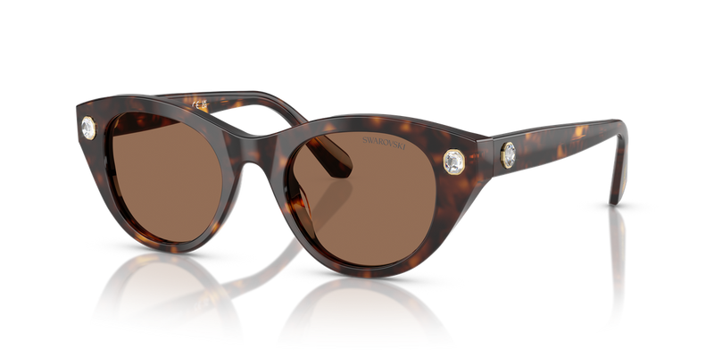 Swarovski SK6025 in Havana / Dark Brown (100273) - Alternate View