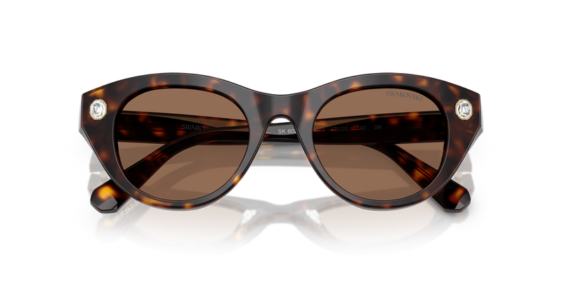 Swarovski SK6025 in Havana / Dark Brown (100273) - Alternate View