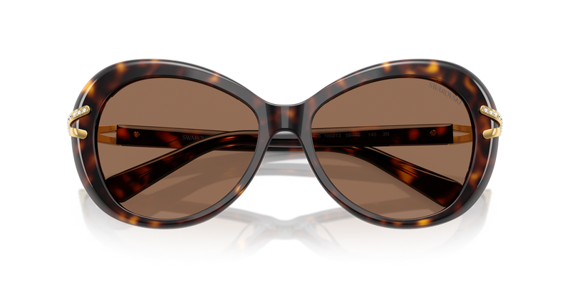 Swarovski SK6026 in Havana / Dark Brown (100273) - Alternate View