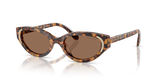 Havana Medio / Dark Brown (104073)