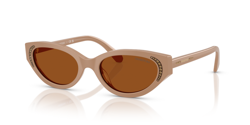 Swarovski SK6030 in Beige / Dark Brown (106173) - Alternate View