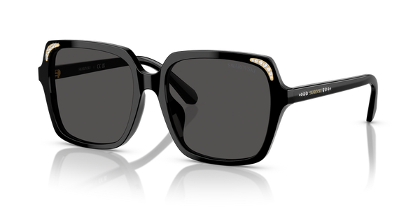 Swarovski SK6034D