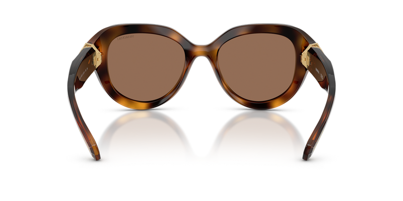 Swarovski SK6037 in Havana / Dark Brown (100273) - Alternate View