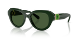 Solid Green / Dark Green (102671)
