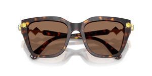 Havana / Dark Brown (100273)