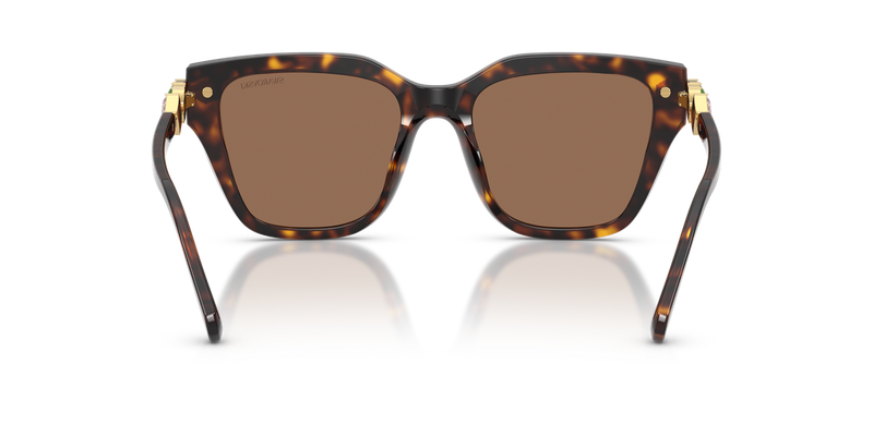 Swarovski SK6041F in Havana / Dark Brown (100273) - Alternate View