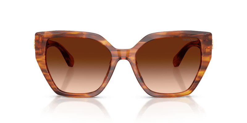 Swarovski SK6044U in Striped Brown / Brown Gradient (109174) - Alternate View