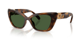 Havana / Dark Green (100271)