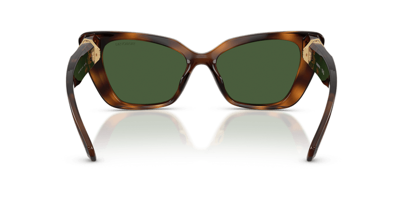 Swarovski SK6047 in Havana / Dark Green (100271) - Alternate View