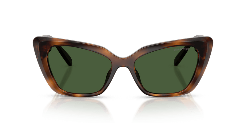 Swarovski SK6047 in Havana / Dark Green (100271) - Alternate View