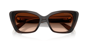 Transparent Brown / Brown Gradient (108474)