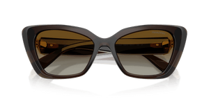Transparent Brown / Polar Brown Gradient (1084T5)