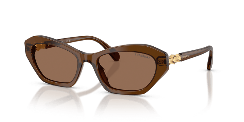 Swarovski SK6048F in Transparent Brown / Dark Brown (108473) - Alternate View