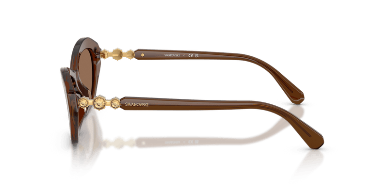 Swarovski SK6048F in Transparent Brown / Dark Brown (108473) - Alternate View